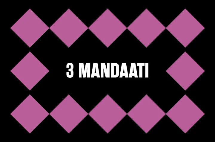 Mandaadikaart: 3 mandaati